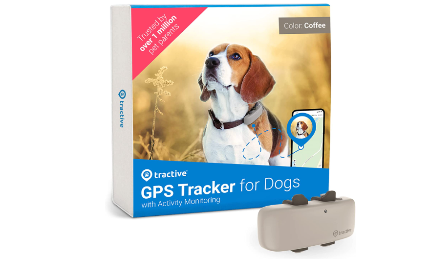 Los 5 mejores collares para perros con GPS (2023) probados