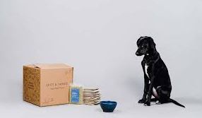 Los 6 mejores servicios de entrega de comida para perros (2023) probados y revisados